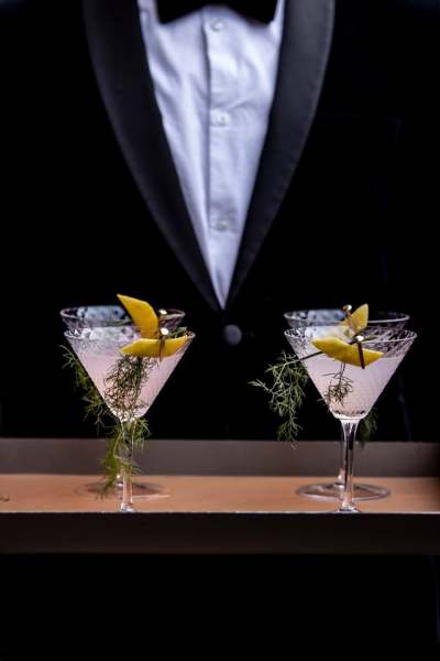 Victoria And Albert Museum event photography