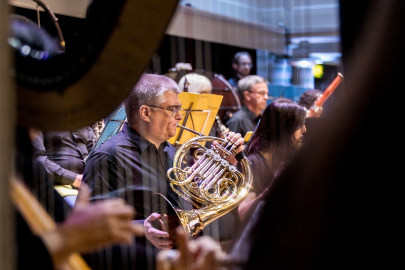 French Horn