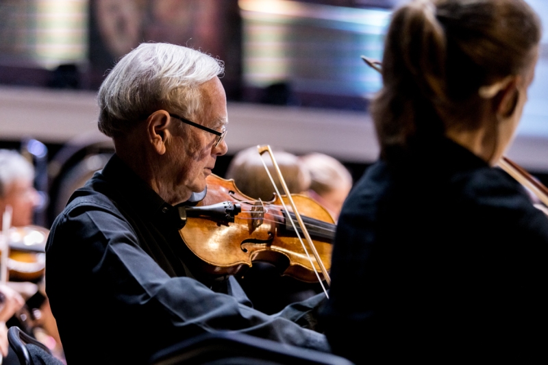 Violinist