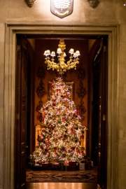 Franke-Christmas-Party-December-2025-462