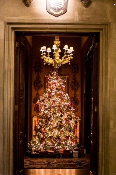 Franke-Christmas-Party-December-2025-462