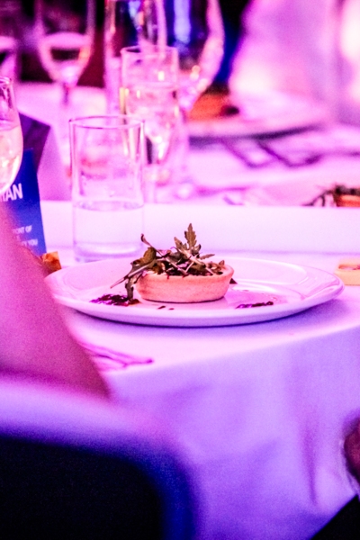 Starter food