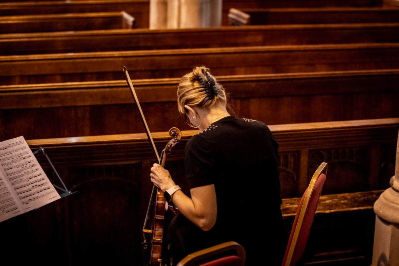 Violinist